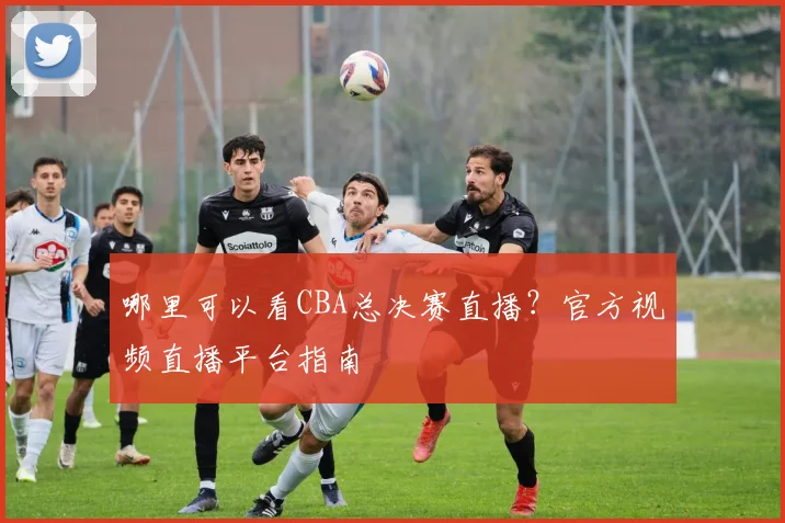 哪里可以看CBA总决赛直播？官方视频直播平台指南