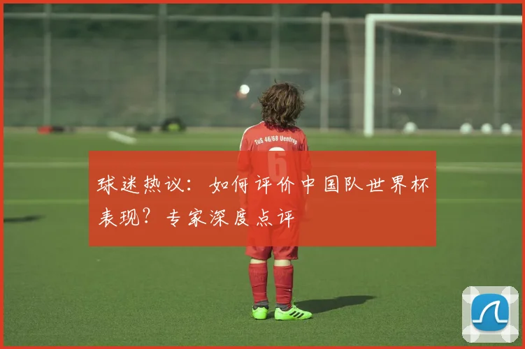 球迷热议:如何评价中国队世界杯表现?专家深度点评