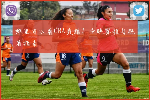 哪里可以看CBA直播?今晚赛程与观看指南