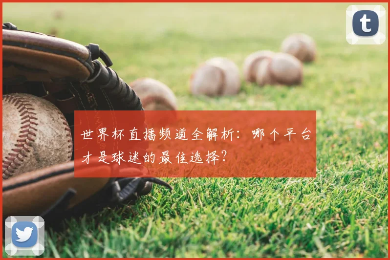 世界杯直播频道全解析：哪个平台才是球迷的最佳选择？