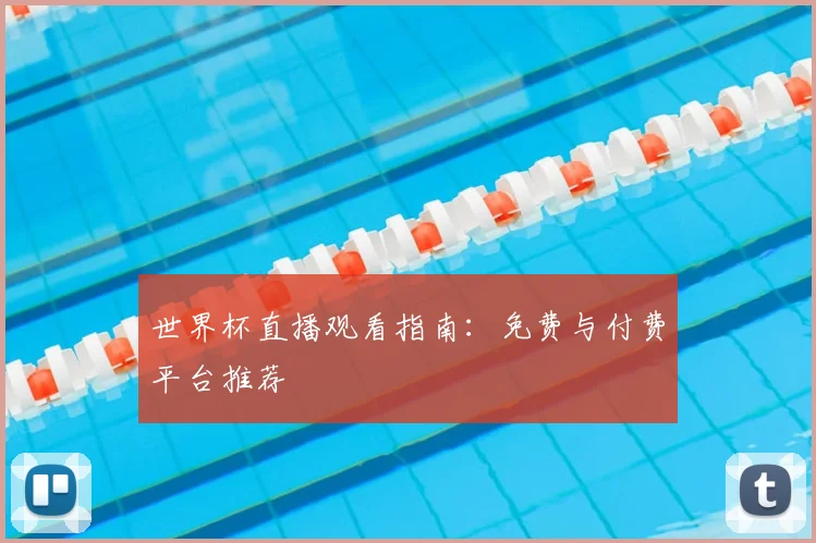 世界杯直播观看指南：免费与付费平台推荐