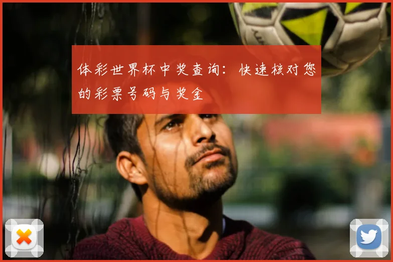 体彩世界杯中奖查询：快速核对您的彩票号码与奖金