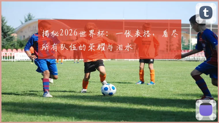 揭秘2026世界杯:一张表格,看尽所有队伍的荣耀与泪水