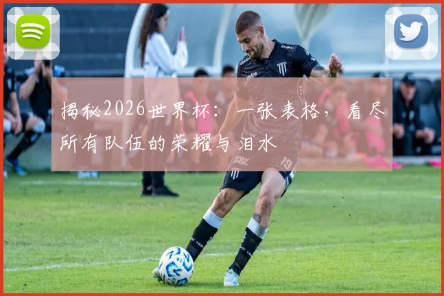 揭秘2026世界杯：一张表格，看尽所有队伍的荣耀与泪水