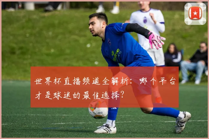 世界杯直播频道全解析：哪个平台才是球迷的最佳选择？