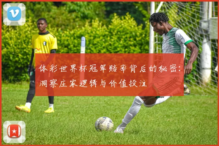 体彩世界杯冠军赔率背后的秘密：洞察庄家逻辑与价值投注