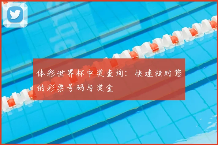 体彩世界杯中奖查询：快速核对您的彩票号码与奖金