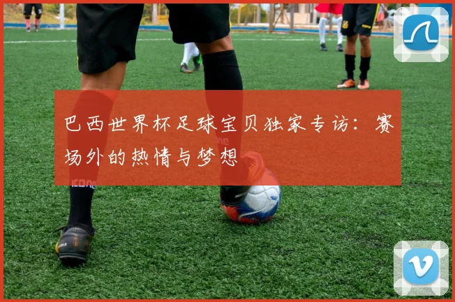 巴西世界杯足球宝贝独家专访:赛场外的热情与梦想