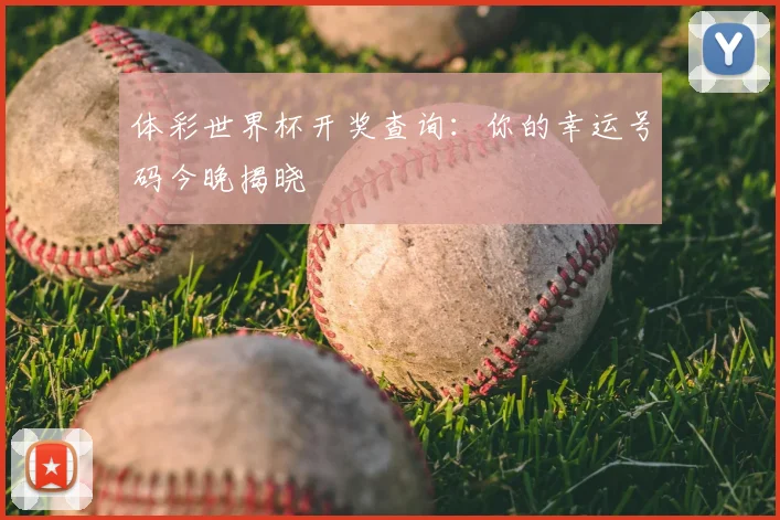 体彩世界杯开奖查询：你的幸运号码今晚揭晓