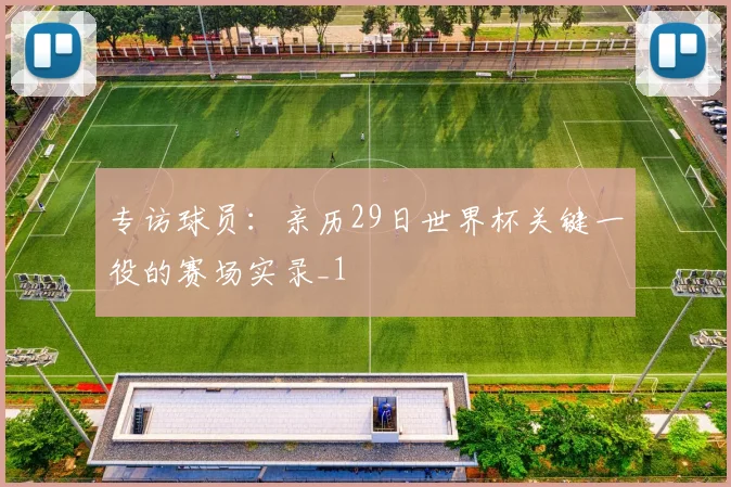 专访球员：亲历29日世界杯关键一役的赛场实录_1