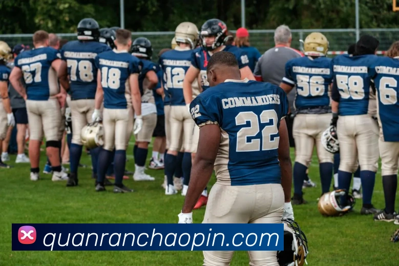 mk国际体育官网平台生态图