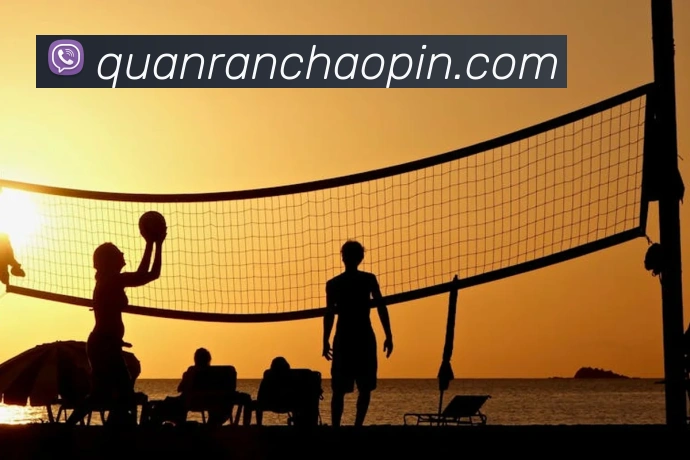 mk国际体育官网APP 封面图